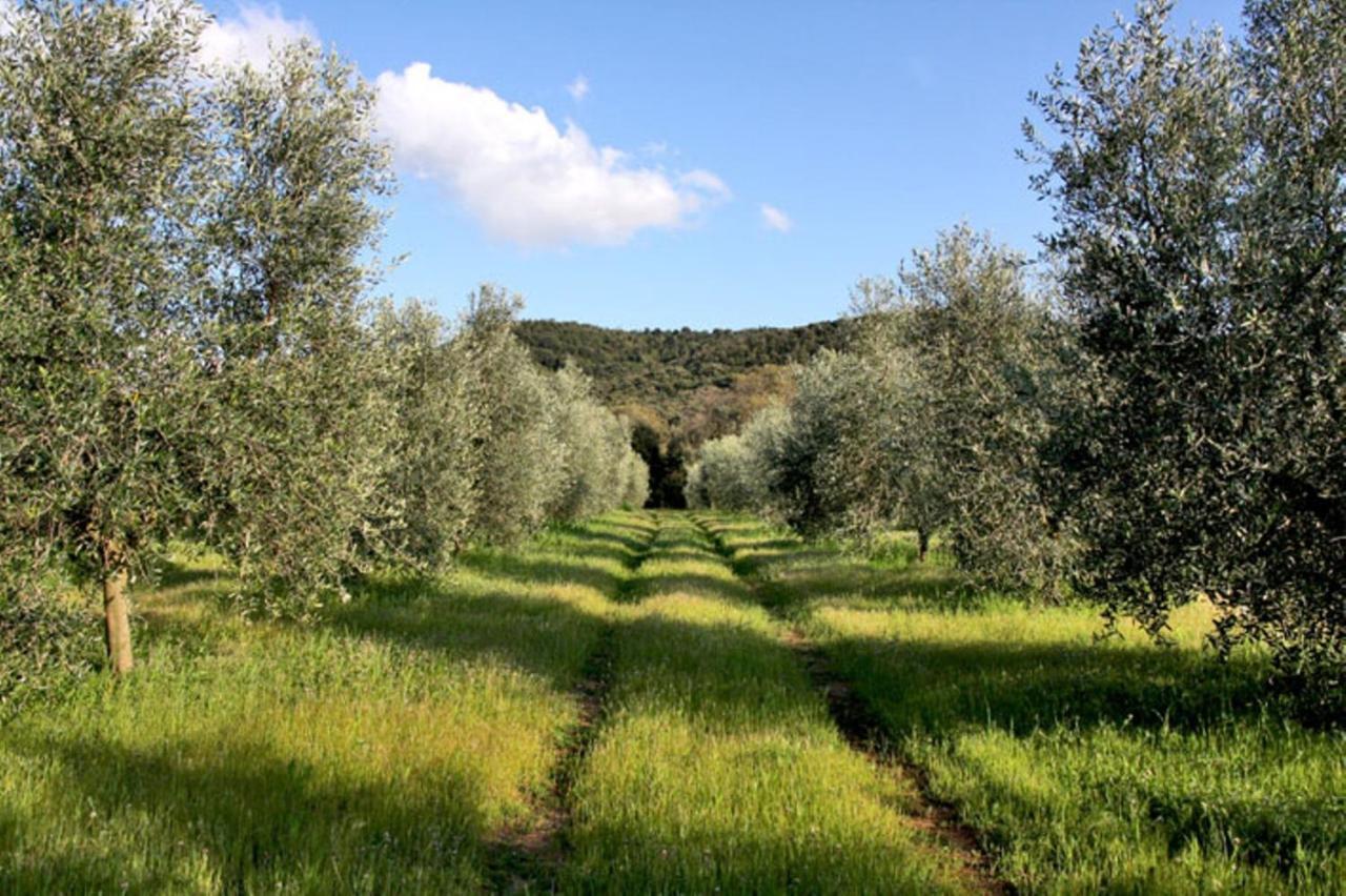 Agriturismo Podere Campalto Campiglia Marittima Habitación foto