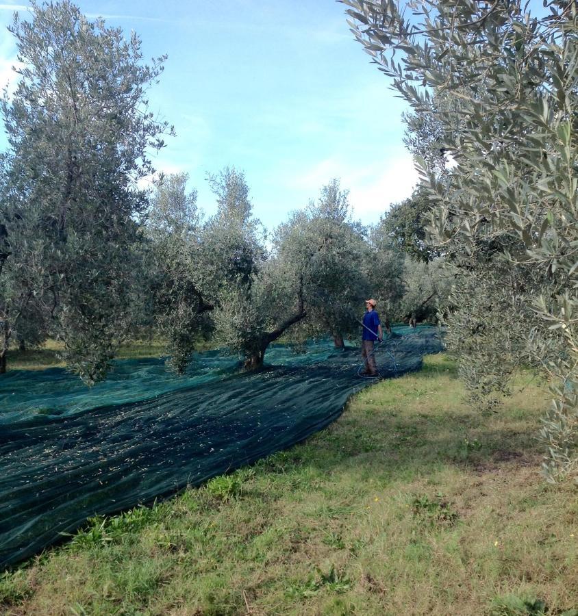 Agriturismo Podere Campalto Campiglia Marittima Exterior foto